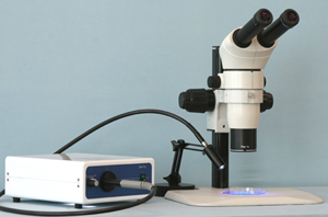 Stereo Fluorescence SXT500 Microscope