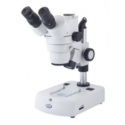 Stereo Microscopes