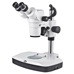 Stereo microscopes