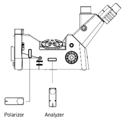 microscope polarizer