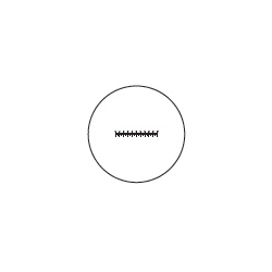 Eyepiece Micrometer - Line