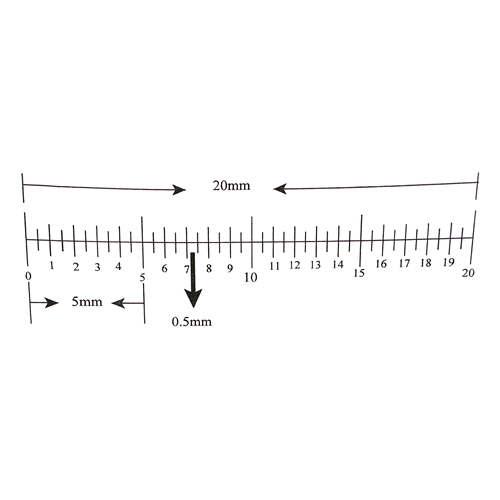 40 mm on a ruler discount