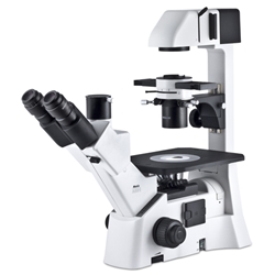 Motic AE31 Elite Inverted Biological Microscope