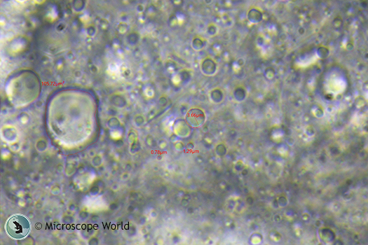 Emulsions captured under the microscope with a 1x c-mount. Emulsions captured under the microscope with a 1x c-mount.