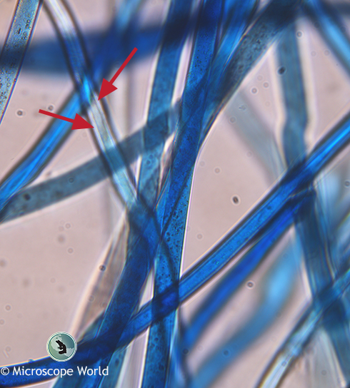 AATCC Test Method 20 and 20A Becke Line AATCC Test Method 20 and 20A