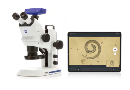 ZEISS Stemi 508 Microscope for Trichinella Examination ZEISS Stemi 508 Microscope for Trichinella Examination