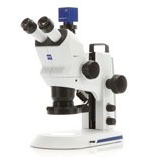 Zeiss Stereo Microscope Zeiss Stereo Microscope