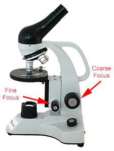 Microscope with coarse and fine focus Microscope with coarse and fine focus