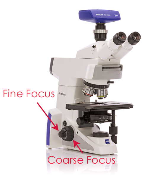 ZEISS Microscope coarse and fine focus ZEISS Microscope coarse and fine focus