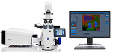 Confocal Microscope Confocal Microscope