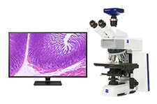 Pathology Microscope with 4K HD Monitor Pathology Microscope with 4K HD Monitor