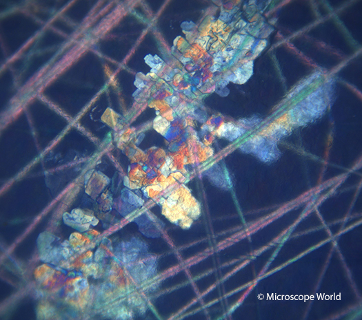 Polymers under a Polarizing Microscope at 100x Polymers under a Polarizing Microscope at 100x