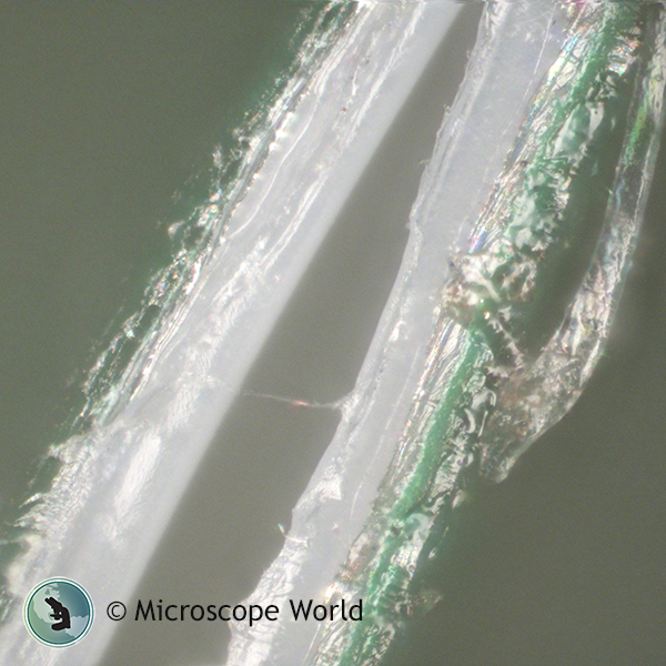Potato Chip Bag Seal Under Microscope 500x with EDF Potato Chip Bag Seal Under Microscope 500x